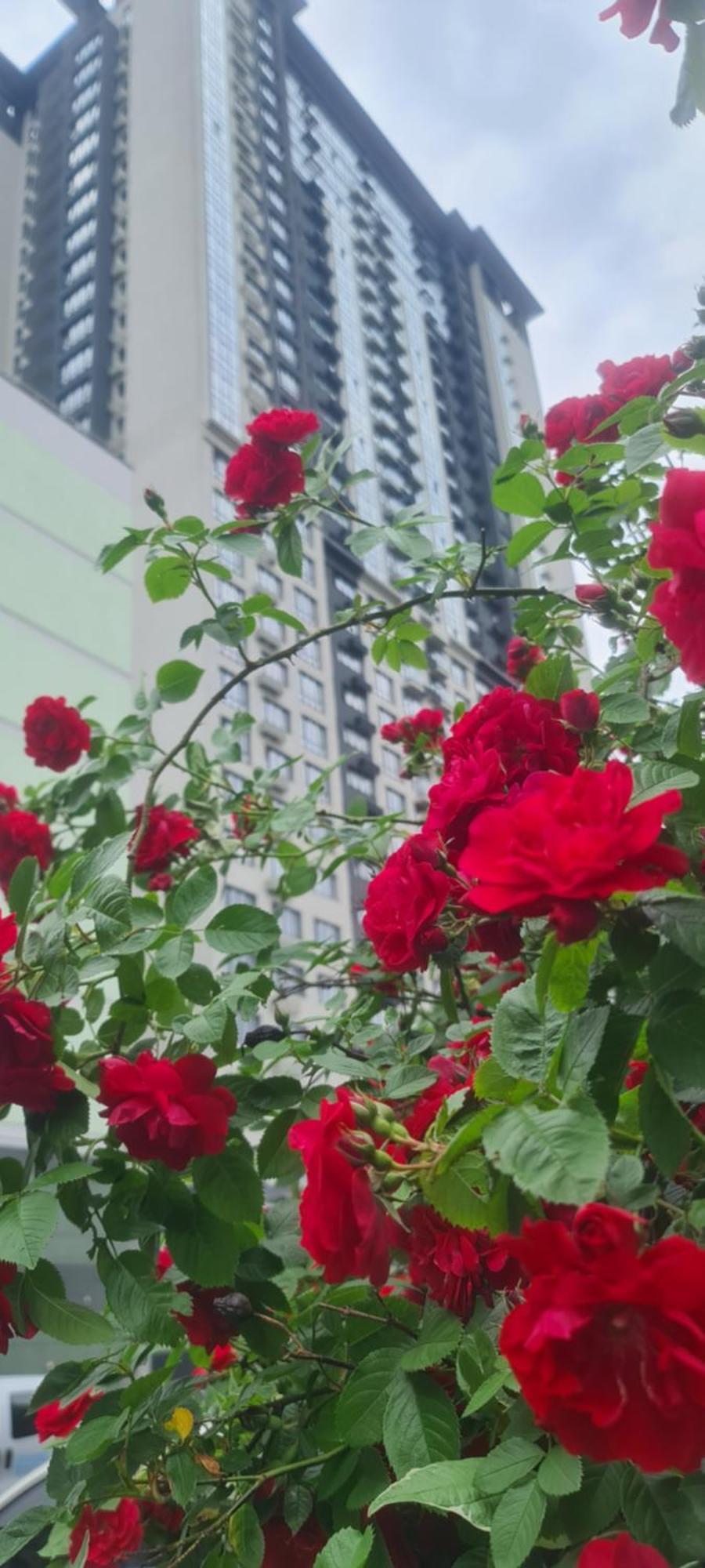 Viktory 5 B, Apartments キエフ エクステリア 写真